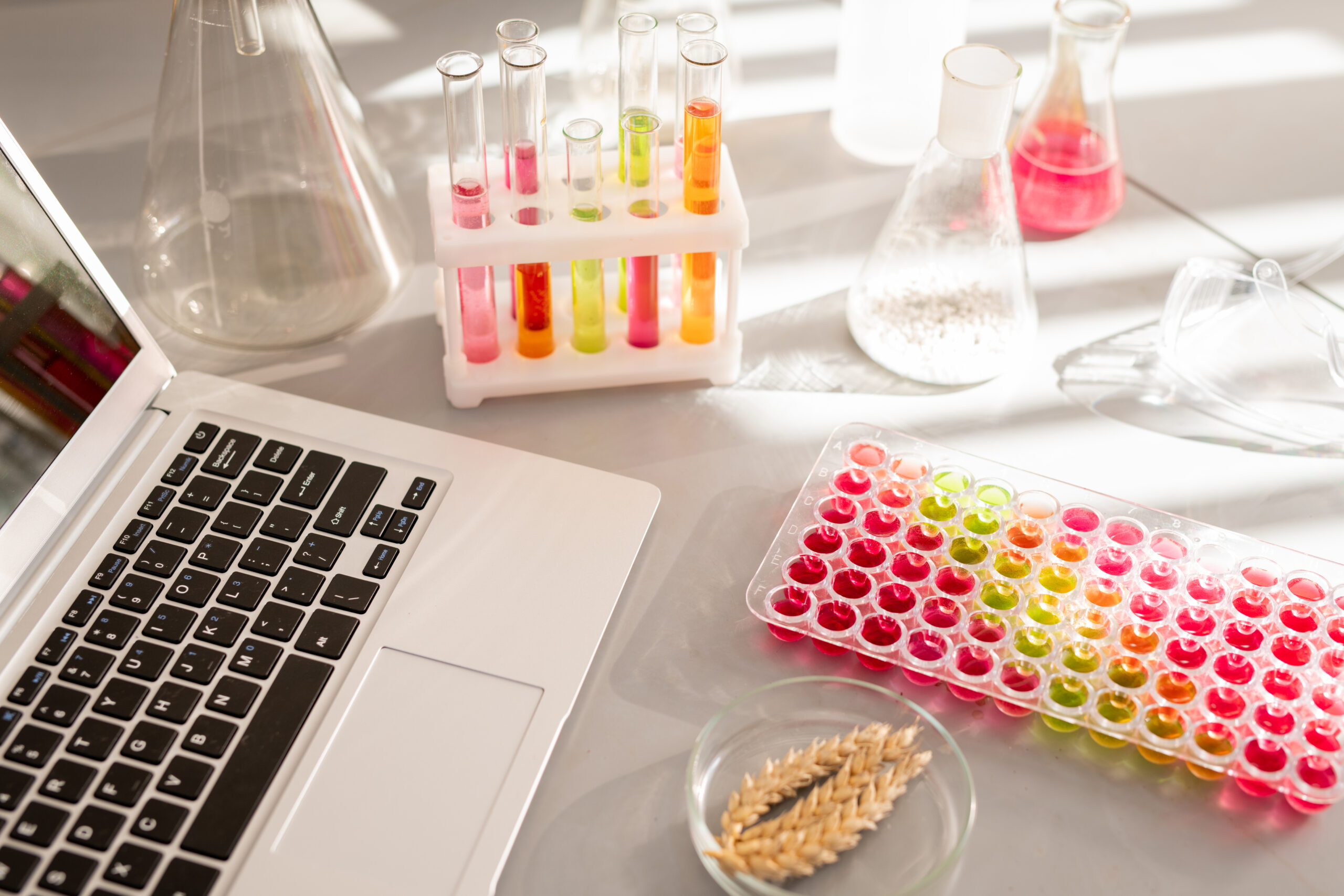 Modern workplace with test tube rack, laptop, beakers and petri dish with rye in environmental research laboratory